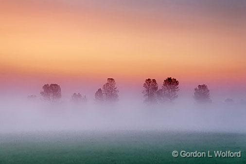 Trees In Dawn Mist_15037.jpg - Photographed near Smiths Falls, Ontario, Canada.